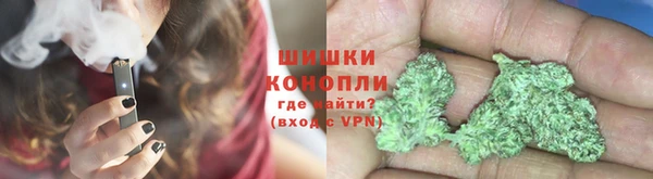 шишки Лиски
