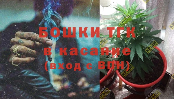 шишки Лиски