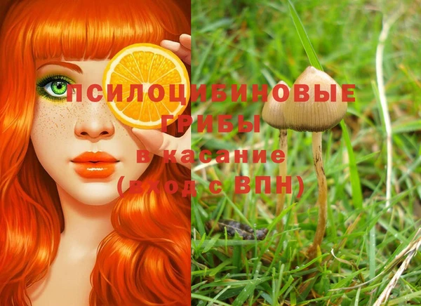 дживик Лихославль